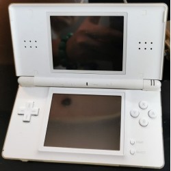 Nintendo NDS Video Game