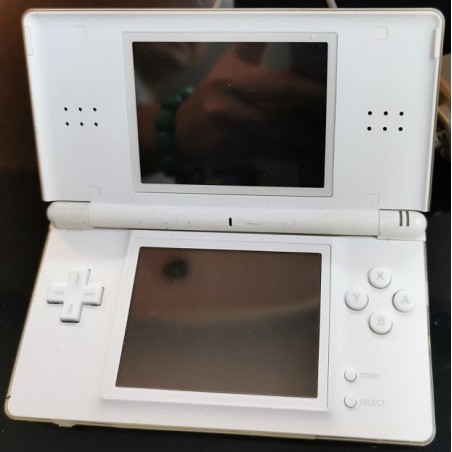 Nintendo NDS Video Game